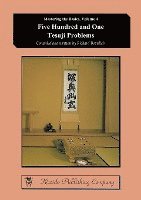 bokomslag Five Hundred and One Tesuji Problems