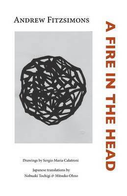 Andrew Fitzsimons - Fire in the Head, Häftad