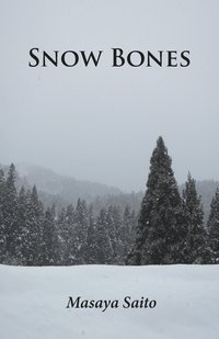 bokomslag Snow Bones