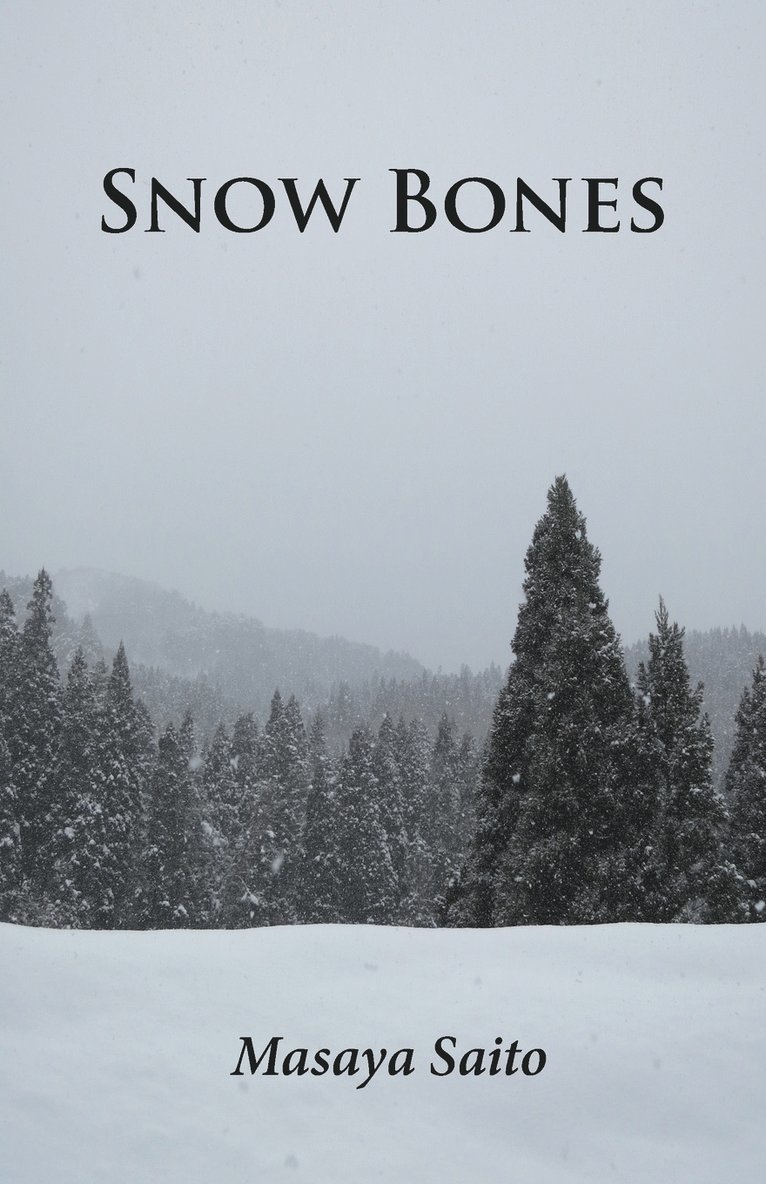 Masaya Saito - Snow Bones, Häftad. Tillgänglighet: Lägg i varukorg