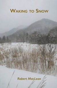 bokomslag Waking to Snow