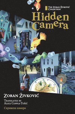 Hidden Camera