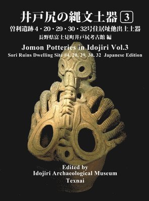 Jomon Potteries in Idojiri Vol.3: Sori Ruins Dwelling Site #4, #20, #29, #30, #32 (Japanese Edition) 1