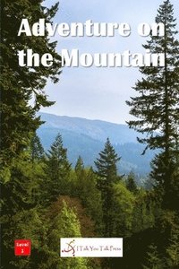 bokomslag Adventure on the Mountain
