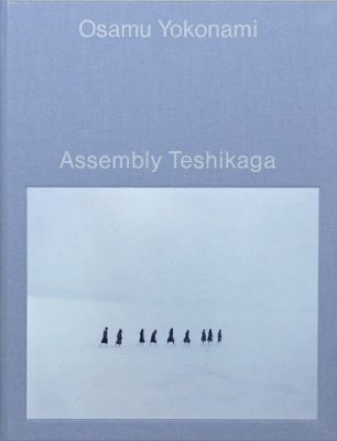 bokomslag Assembly Teshikaga