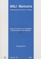 Suhyoung Choi - GEOMETRIC STRUCTURES ON 2-ORBIFOLDS, Häftad