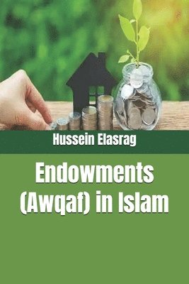 bokomslag Endowments (Awqaf) in Islam