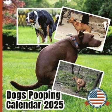 bokomslag Pooping Dogs Calendar 2025