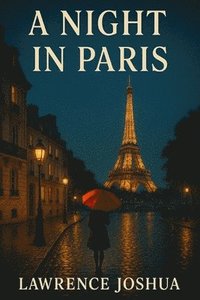 bokomslag A Night in Paris