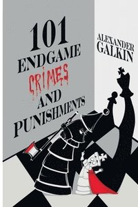 bokomslag 101 Endgame Crimes and Punishments