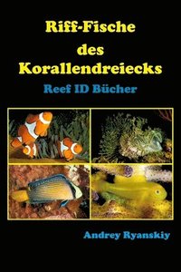 bokomslag Riff-Fische des Korallendreiecks