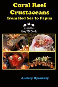 bokomslag Coral Reef Crustaceans from Red Sea to Papua