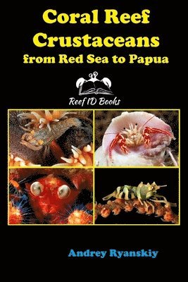 bokomslag Coral Reef Crustaceans from Red Sea to Papua