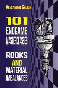 bokomslag 101 Endgame Masterclasses: Rooks and Material Imbalances