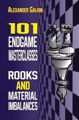 bokomslag 101 Endgame Masterclasses: Rooks and Material Imbalances