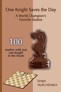 bokomslag One Knight Saves the Day: A World Champion's Favorite Studies