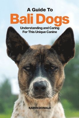 A Guide to Bali Dogs 1