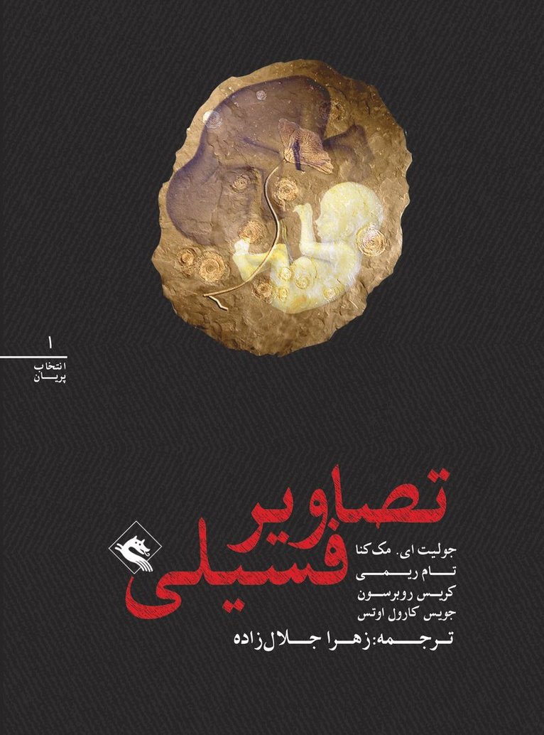 Joyce Carol Oates, Tom Reamy, Chris Roberson - Fossil Figures (persiska: Tasavir-e fosili), Häftad