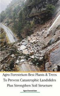 bokomslag Agro Forestrium Best Plants & Trees To Prevent Catastrophic Landslides Plus Strengthen Soil Structure