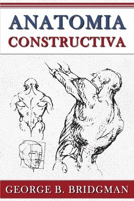 Anatomia Constructiva 1