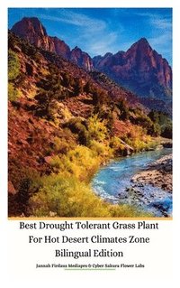 bokomslag Best Drought Tolerant Grass Plant For Hot Desert Climates Zone Bilingual Edition Hardcover Version