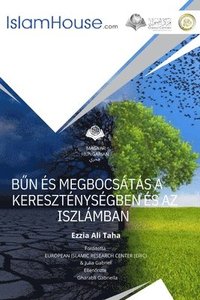 bokomslag B?N ÉS MEGBOCSÁTÁS A KERESZTÉNYSÉGBEN ÉS AZ ISZLÁMBAN - Sin and Forgiveness in Christianity and Islam