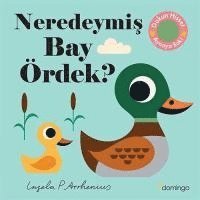 Neredeymis Bay Ördek Ciltli