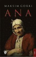 Ana 1