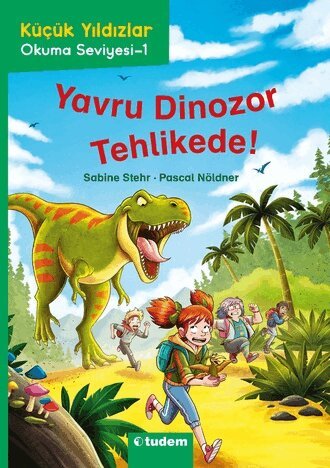 Sabine Stehr - Dino Baby in Great Danger (Turkiska), Häftad
