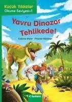 Dino Baby in Great Danger (Turkiska)