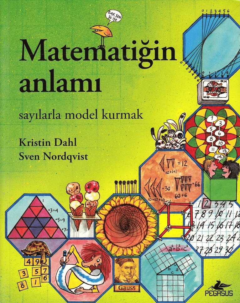 Matematiin Anlami: Sayilarla Model Kurmak 1