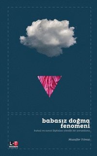 bokomslag Babasiz Do&#286;ma Fenomen&#304;