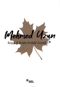 bokomslag En Dag av Evdale Zeynike (Kurdiska)