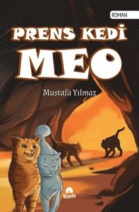 bokomslag Prens Kedi Meo