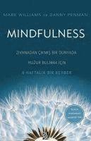 bokomslag Mindfulness