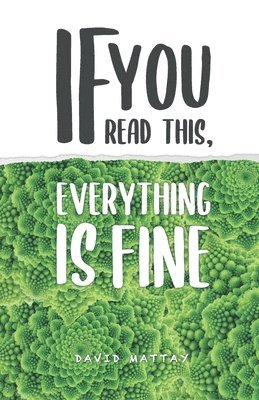 David Mattay - IF you read this, everything is fine, Häftad