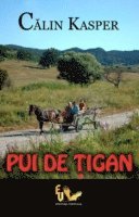 Pui de Tigan 1