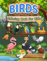 bokomslag Birds Coloring Book For Kids