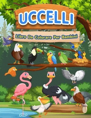 bokomslag Libro Da Colorare Uccelli Per Bambini