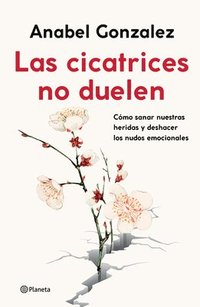 bokomslag Las Cicatrices No Duelen: Como Sanar Nuestras Heridas Y Deshacer Los Nudos Emocionales / Wounds Don't Hurt: Cómo Sanar Nuestras Heridas Y Deshacer Los