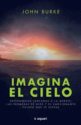 bokomslag Imagina El Cielo: Experiencias Cercanas a la Muerte, Las Promesas de Dios Y El Emocionante Futuro Que Te Espera / Imagine Heaven