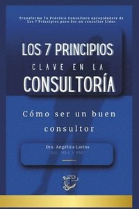 bokomslag 7 Principios Clave en la Consultoría