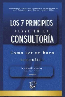 bokomslag 7 Principios Clave en la Consultoría