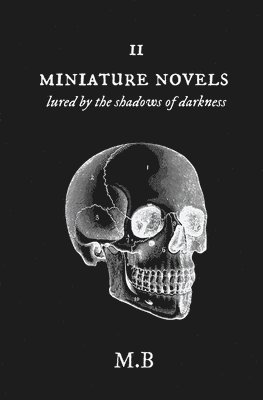 bokomslag Miniature Novels II