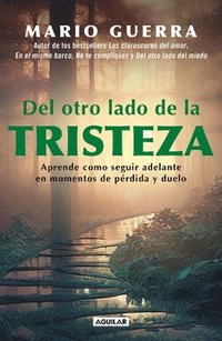 bokomslag del Otro Lado de la Tristeza. Aprende Como Seguir Adelante En Momentos de Pérdid A Y Duelo / On the Other Side of Sadness. Learn How to Move on in Tim