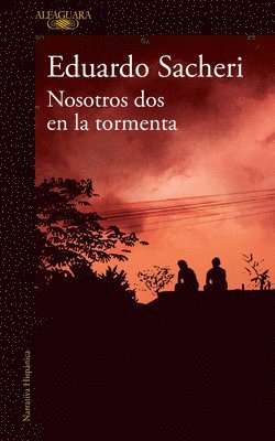 bokomslag Nosotros DOS En La Tormenta / Us Two in the Storm