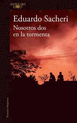 bokomslag Nosotros DOS En La Tormenta / Us Two in the Storm