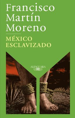 bokomslag México Esclavizado / An Enslaved Mexico