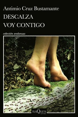 Antimio Cruz - Descalza Voy Contigo / Barefoot I'll Go with You, Häftad