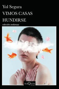 bokomslag Vimos Casas Hundirse (Novela) / We Watched Houses Sink (a Novel)